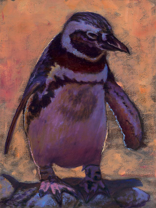 00Penguin Phillip Anthony